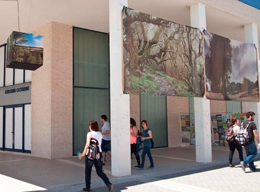 Universitat Jaume I, Castelló