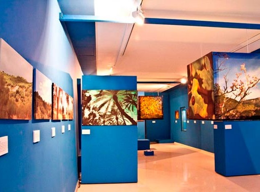 Museu de la Festa, Algemesí